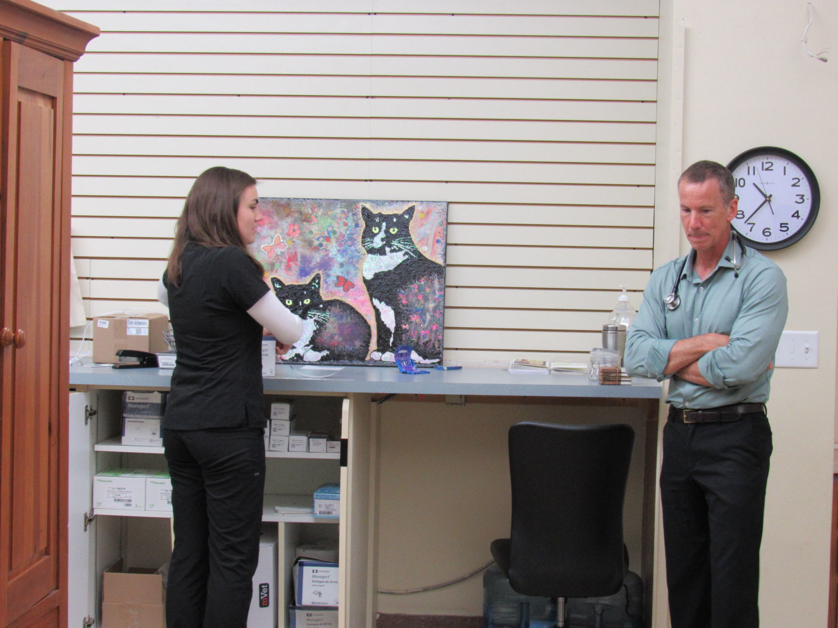 Lakeview Veterinary Clinic Cat Annex